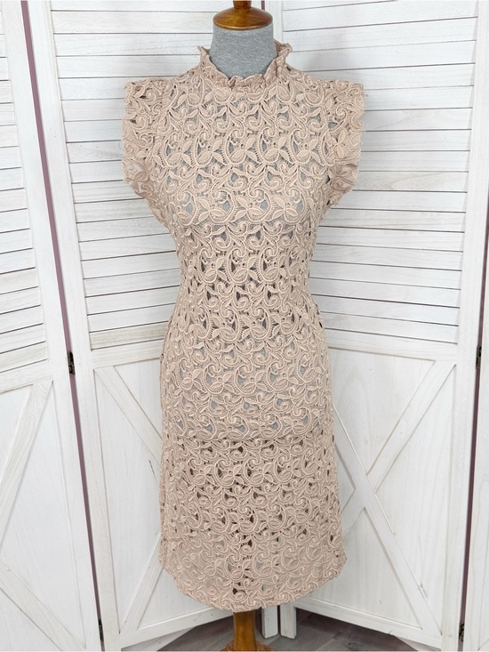 Zara Dresses & Skirts - Zara Sheer Lace Ruffle Trim Sheath Dress Nude Tan Large Resort Coquette